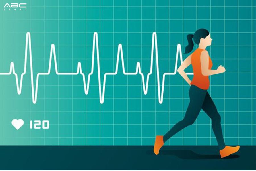 Tại sao người mới bắt đầu chạy bộ chỉ nên chạy ở mức 50 - 75% nhịp tim tối đa?
