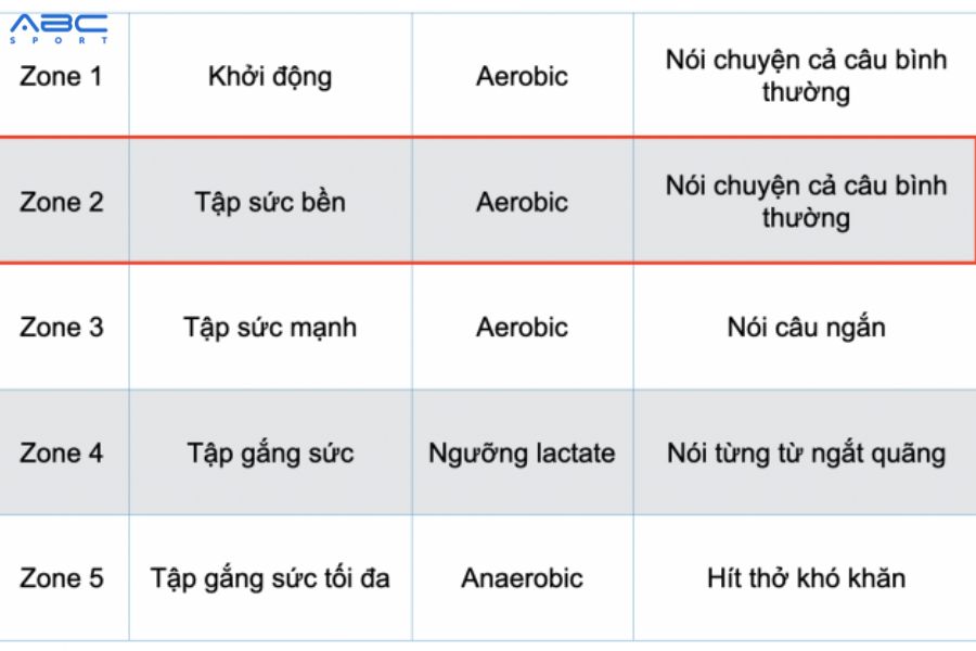 Nhịp Tim Lúc Chạy Bộ: Hướng Dẫn Từ A đến Z Để Tập Luyện Hiệu Quả