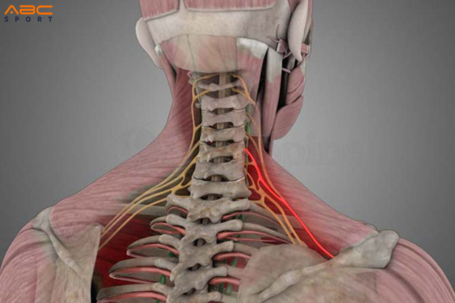 Bài văn mẫu số 7: Kể về một ngày ở nông thôn